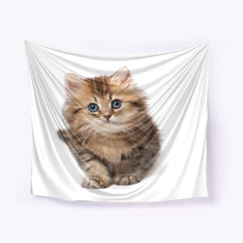 Kitten Tee Shirt
