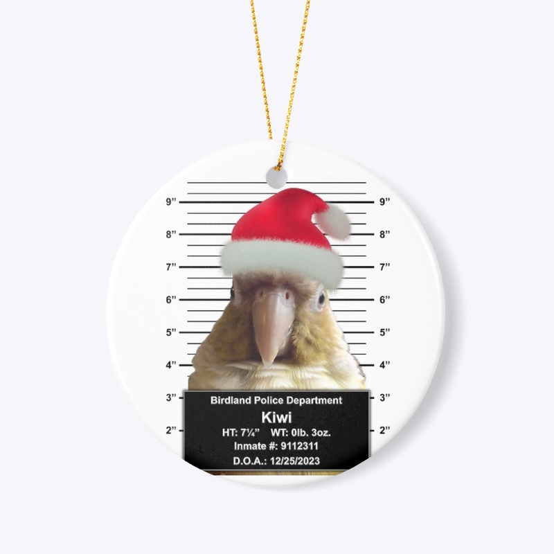 Criminal Santa Kiwi