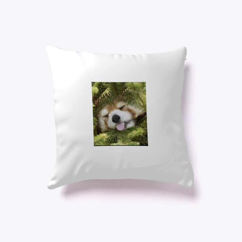 Sleeping panda