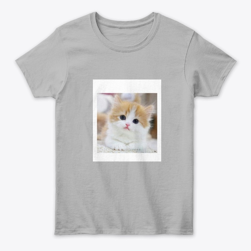 Cute Kitten Vibes