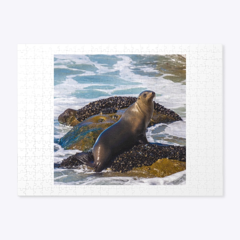 Seal