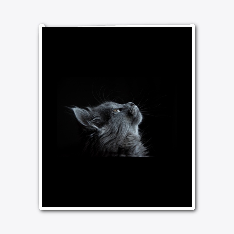 Black Cat Looking Up