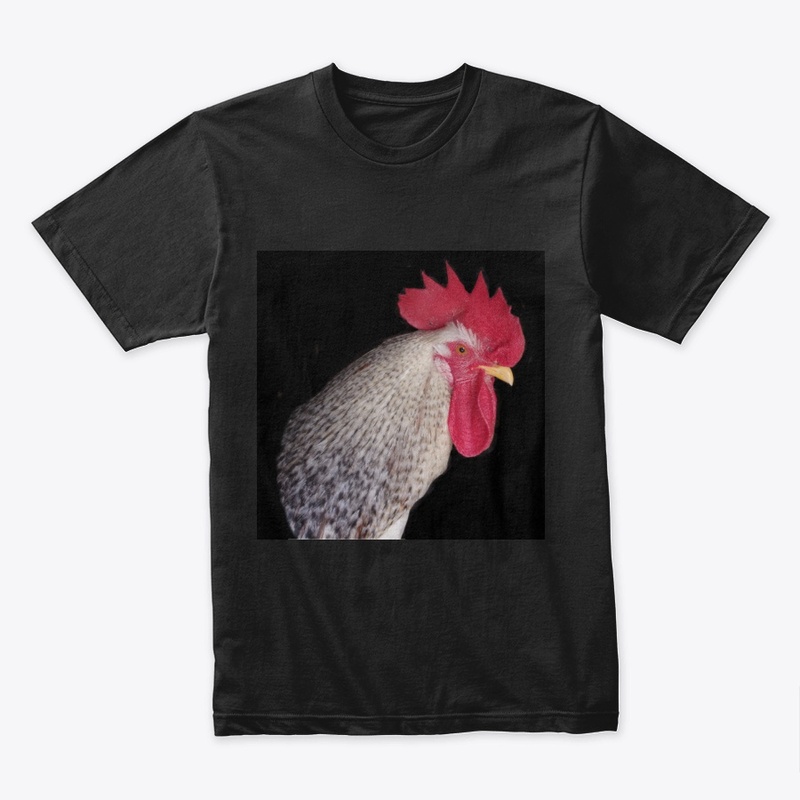 rooster2