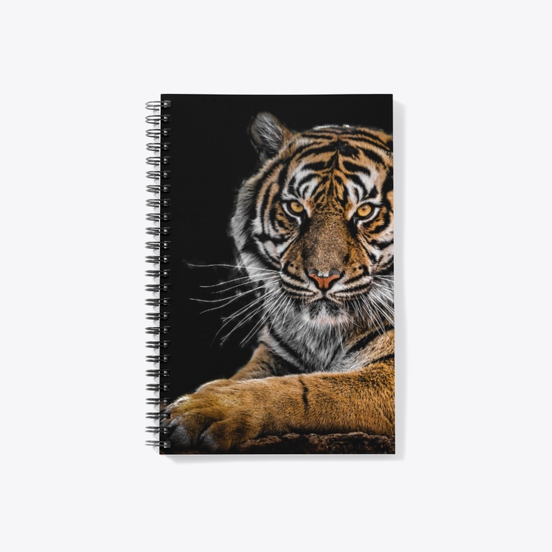 A Tiger's Look