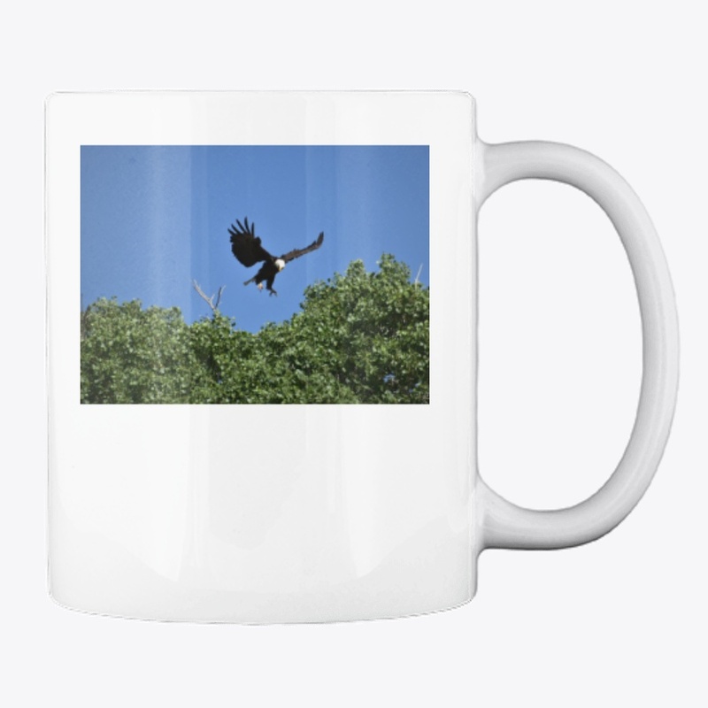 Eagle Landing