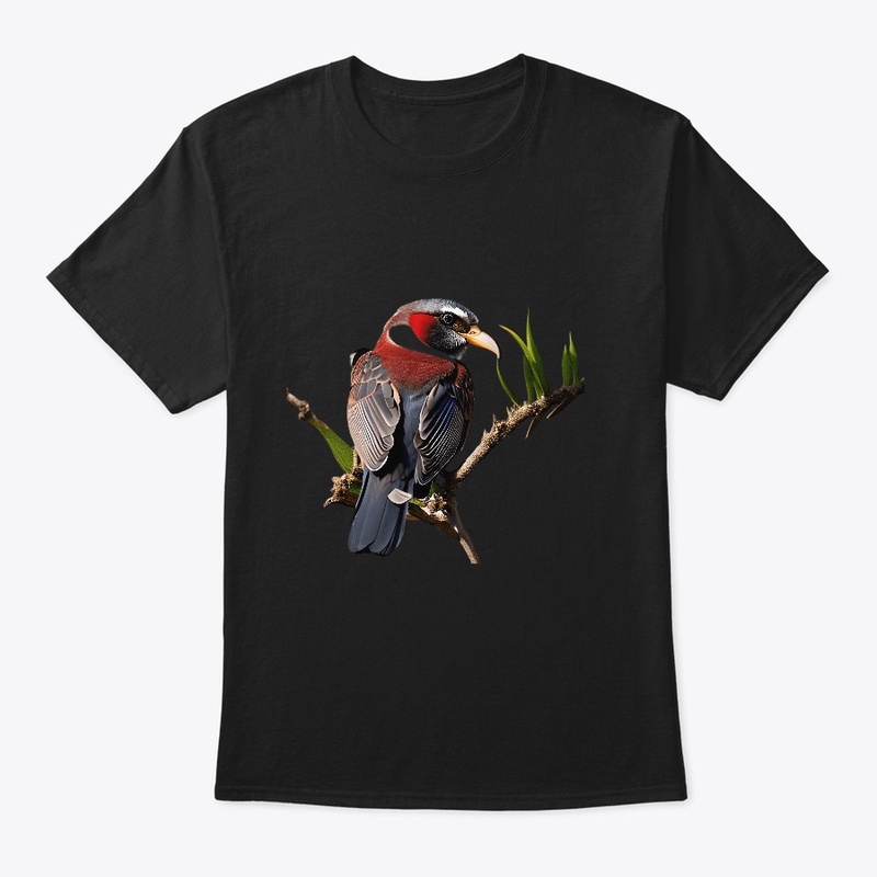 Rainbow Songbird Tee T-shirt