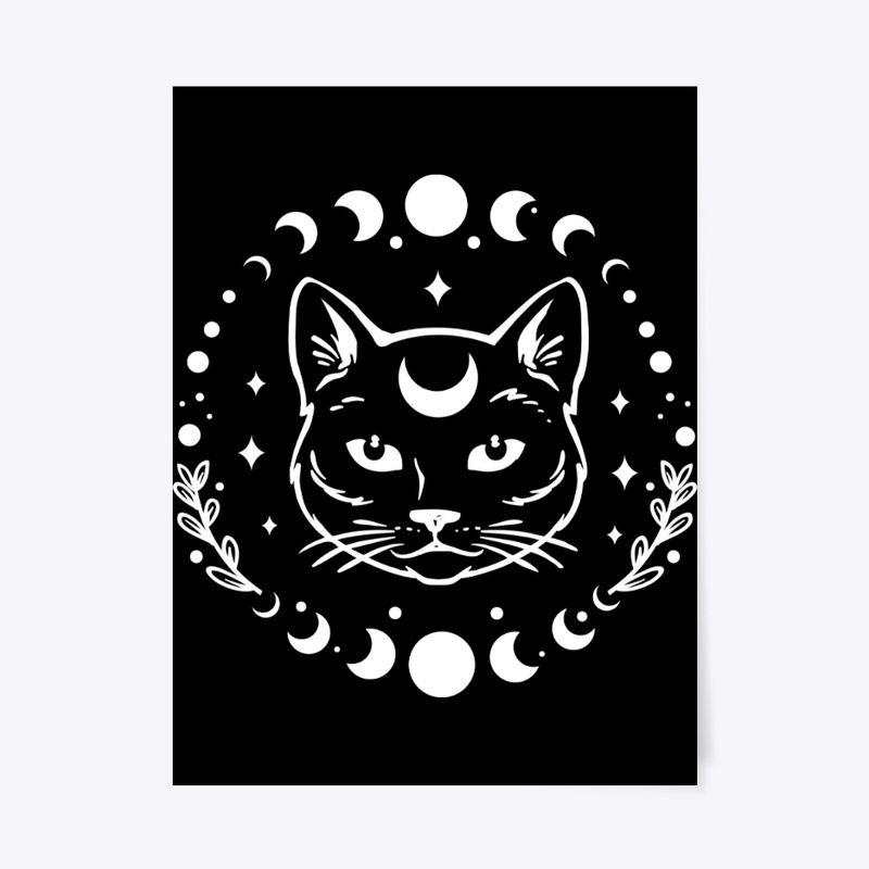 moon phases kitty