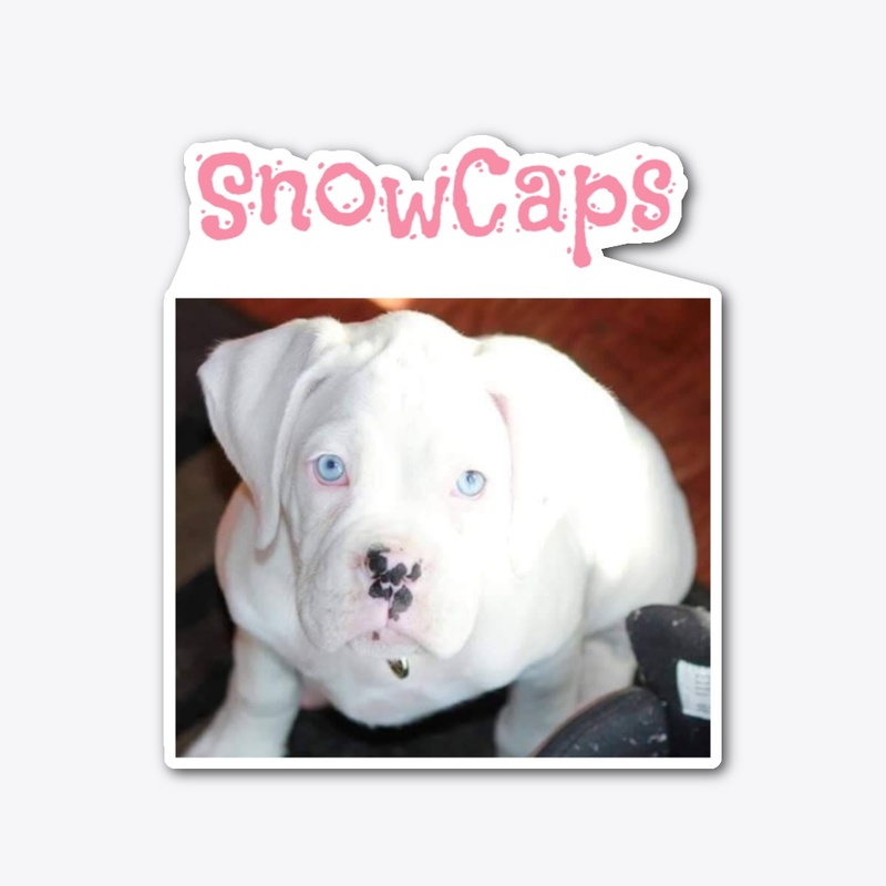SNOW CAPS MEMORIAL