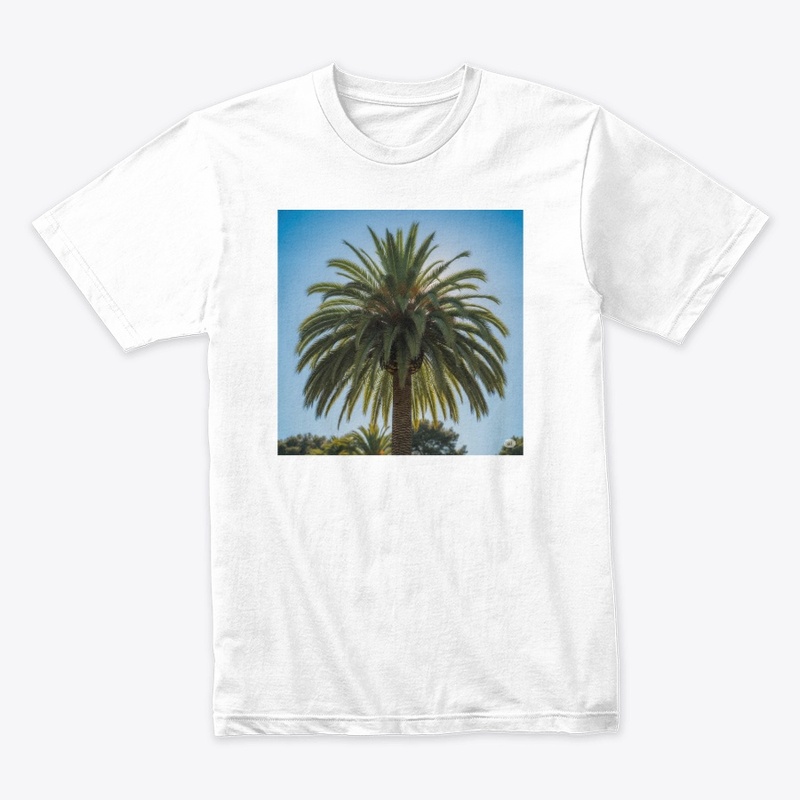 Palm tree