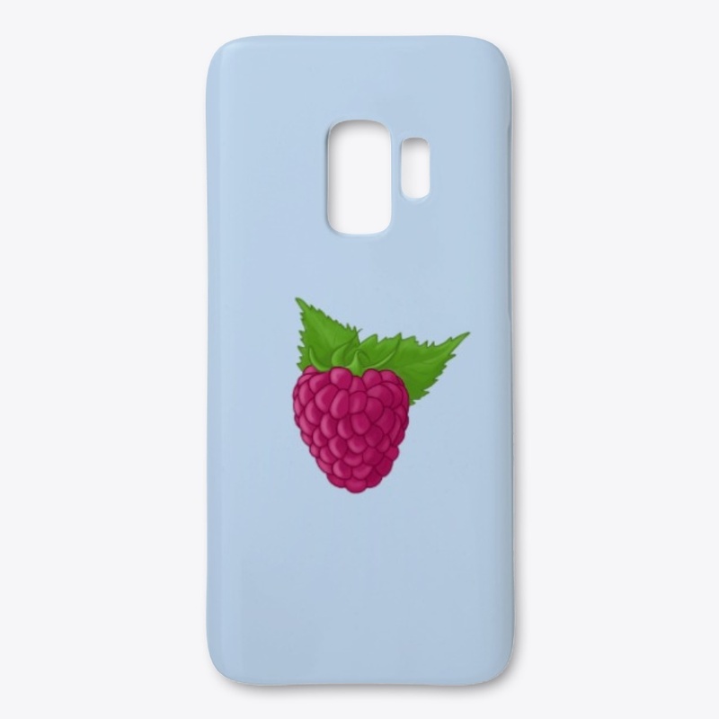 Raspberry Accessories
