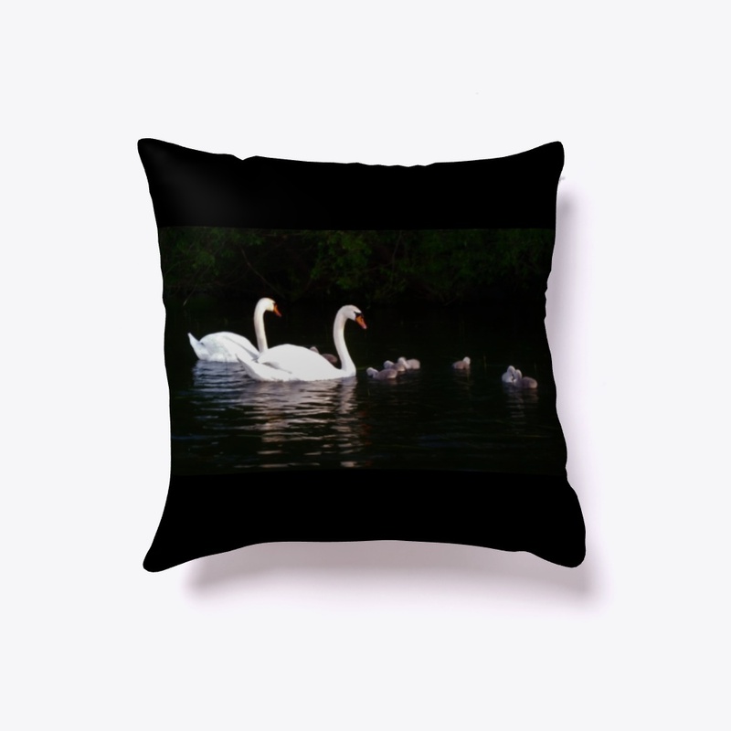 Stockholm Swan family