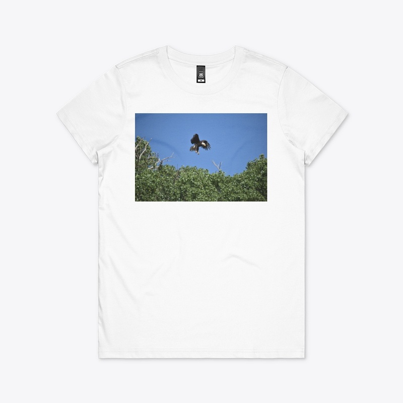 Eagle in Tree