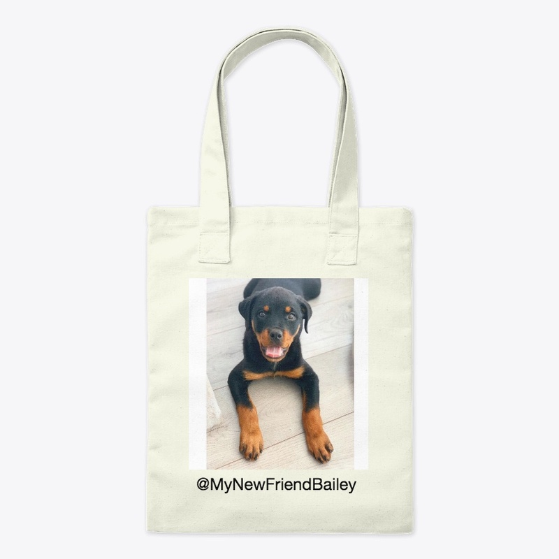 My new friend Bailey bag