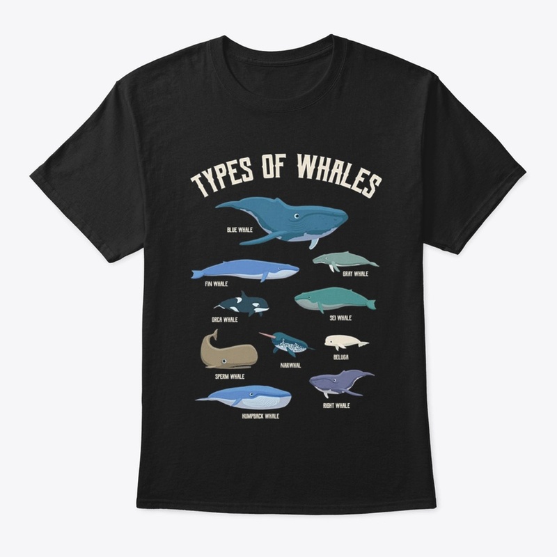 types of whales