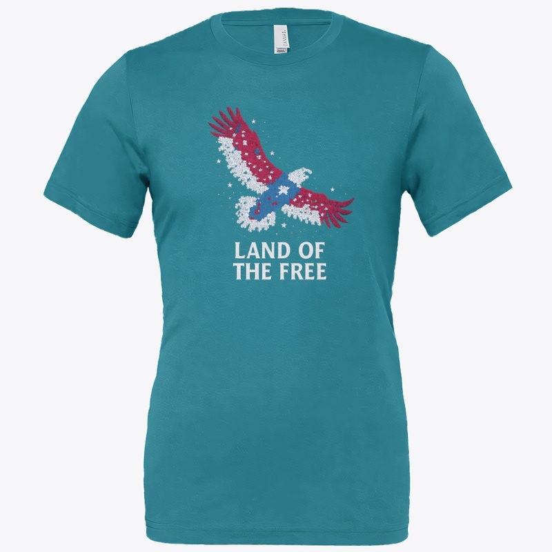American eagle t-shirt  land of the free