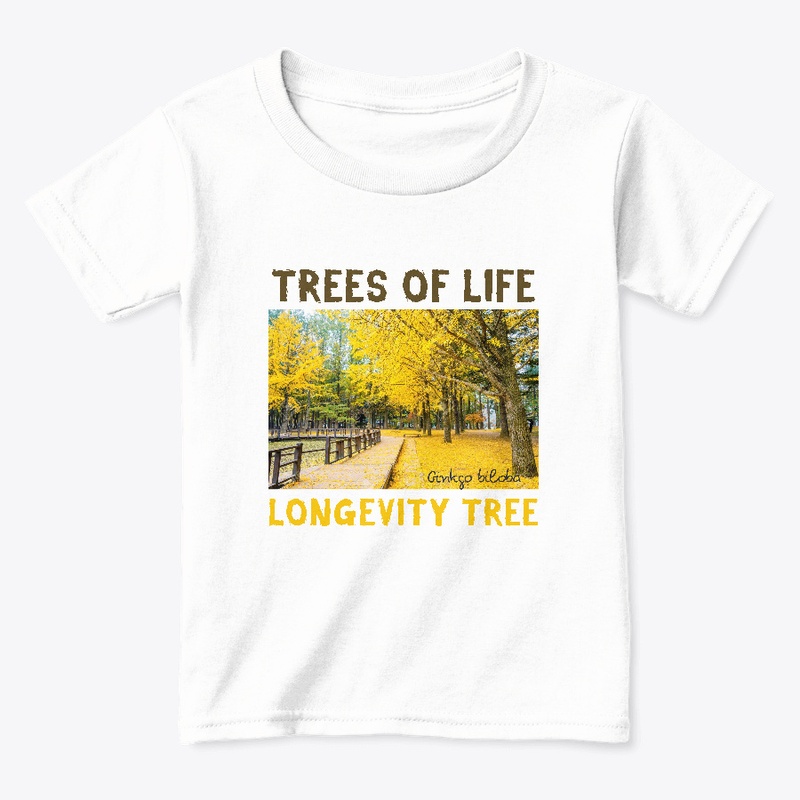 TREES of LIFE: GINKGO/LONGEVITY TREE
