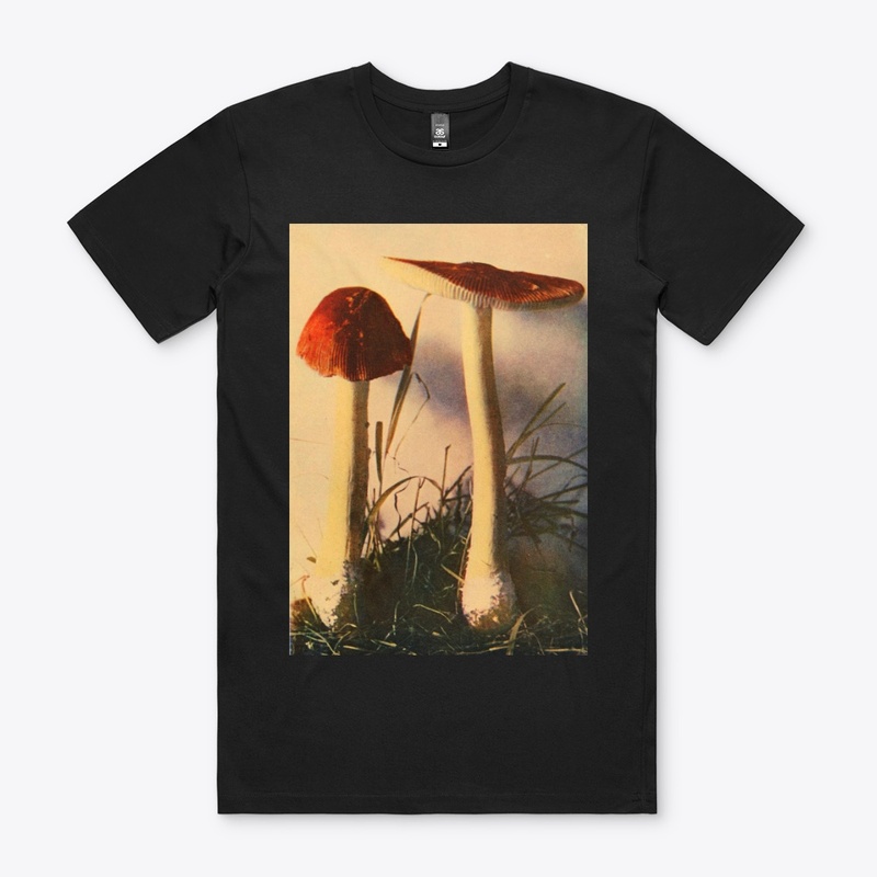 two red mushrooms