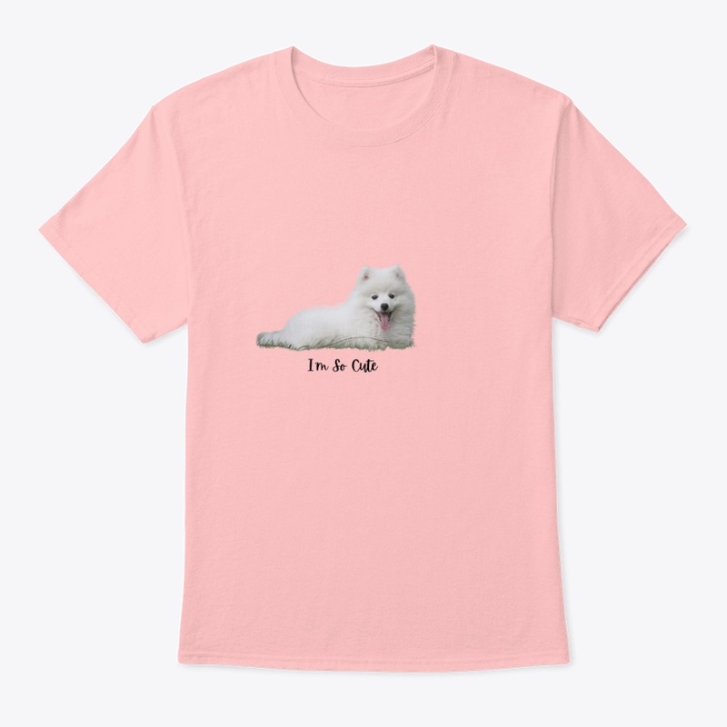 Cute Puppy