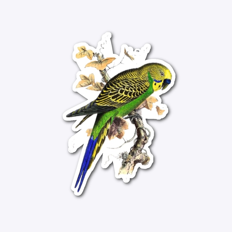 Summer Birb