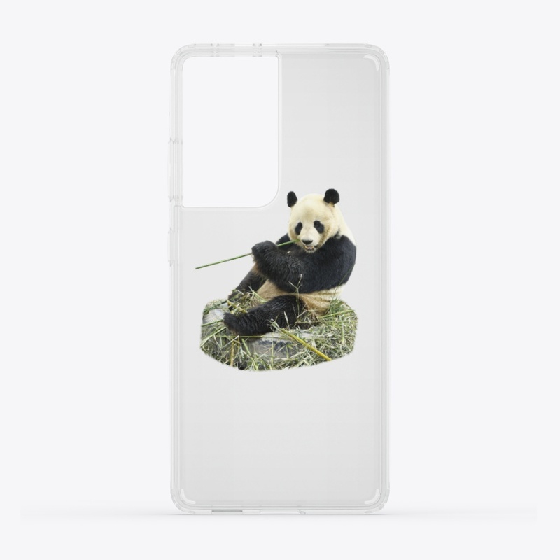 Panda love 