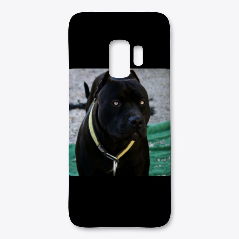 Pitbulls Black