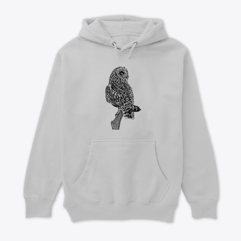 Short-eared Owl Birdwatching