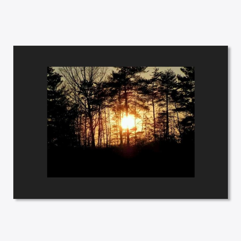 woodsy sunset