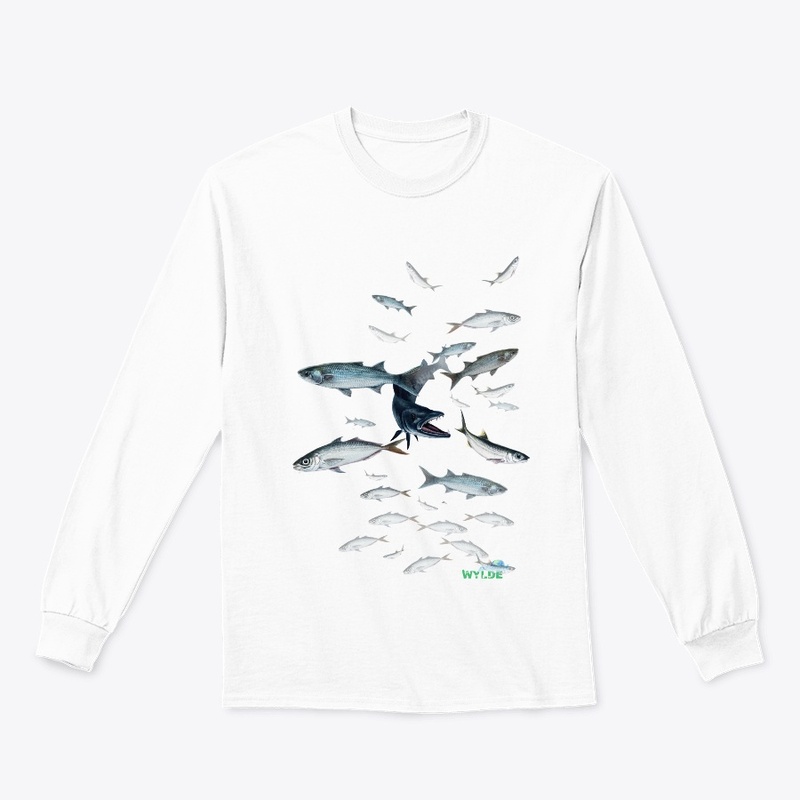 Barracuda Attacking Baitfish