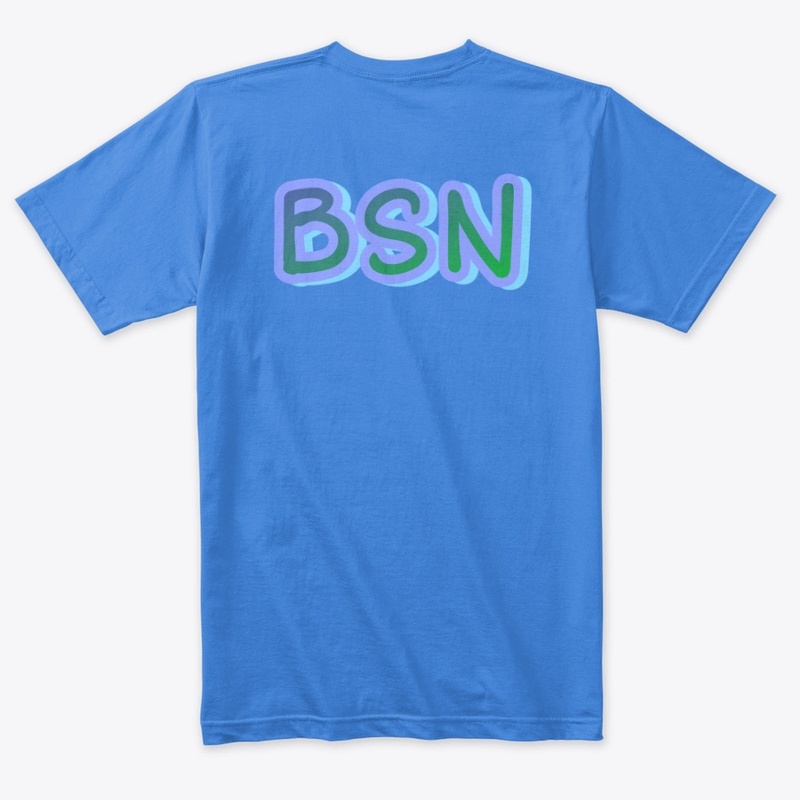 BSN logo 3