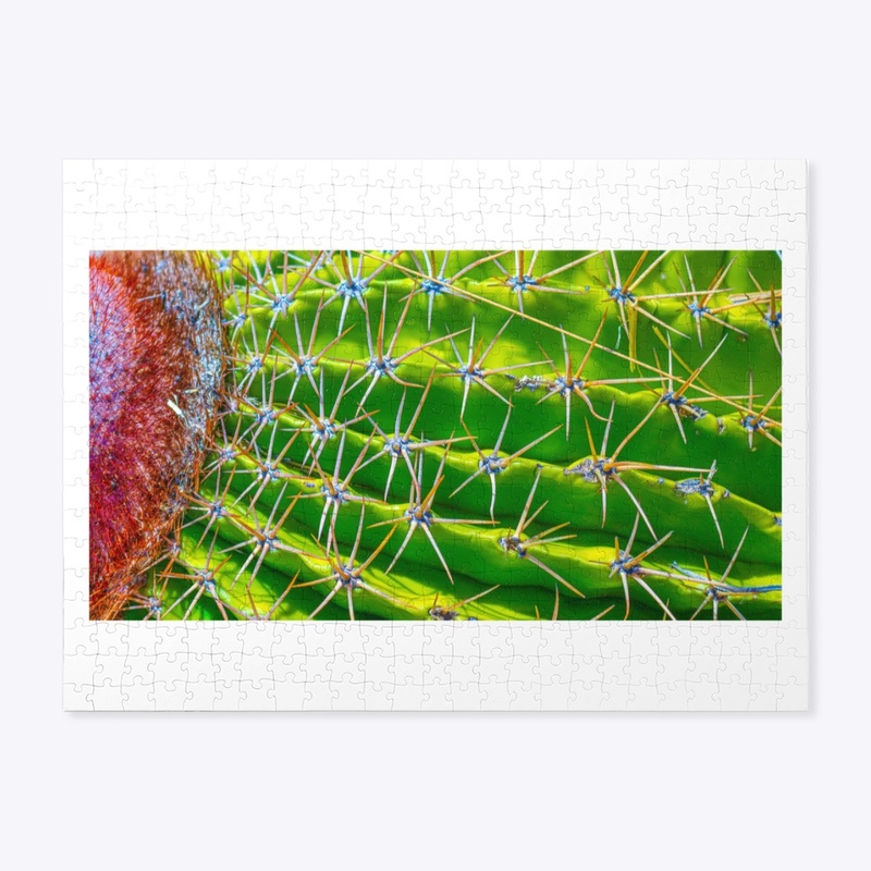 Cactus