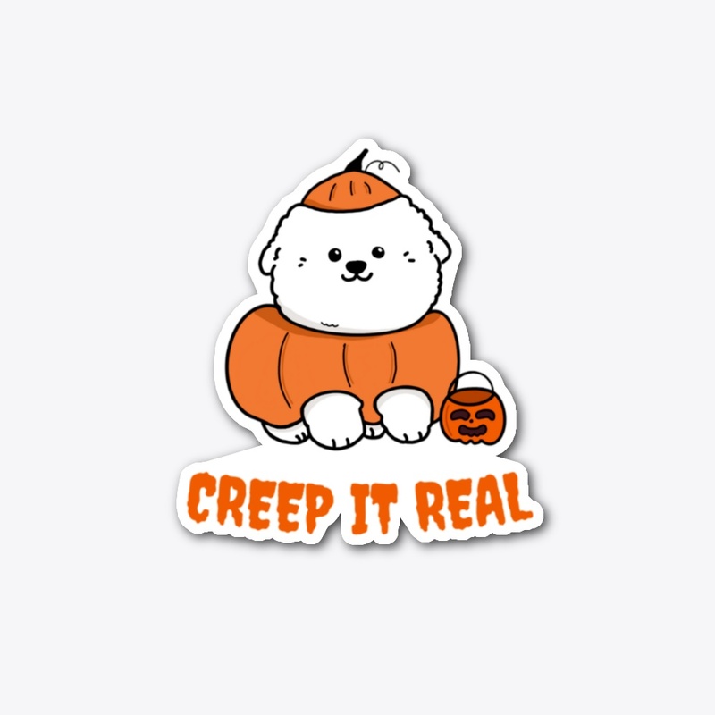 Pumpkin Bichon | Creep It Real