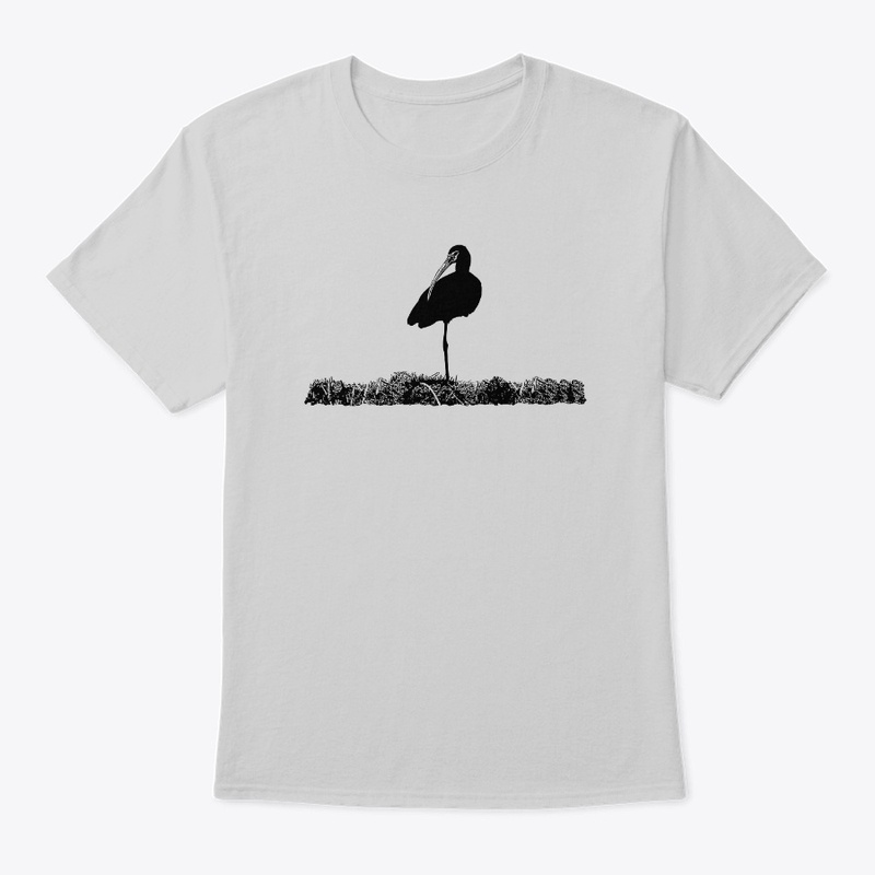 Birdwatching-White Faced Ibis