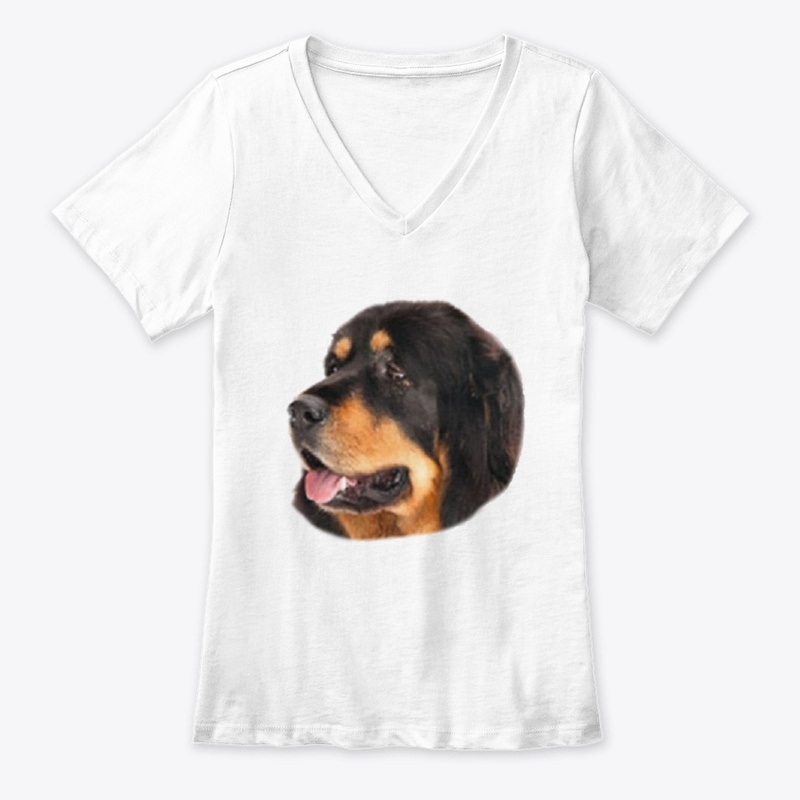 Un Amour de Chien