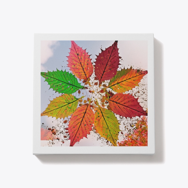 maple