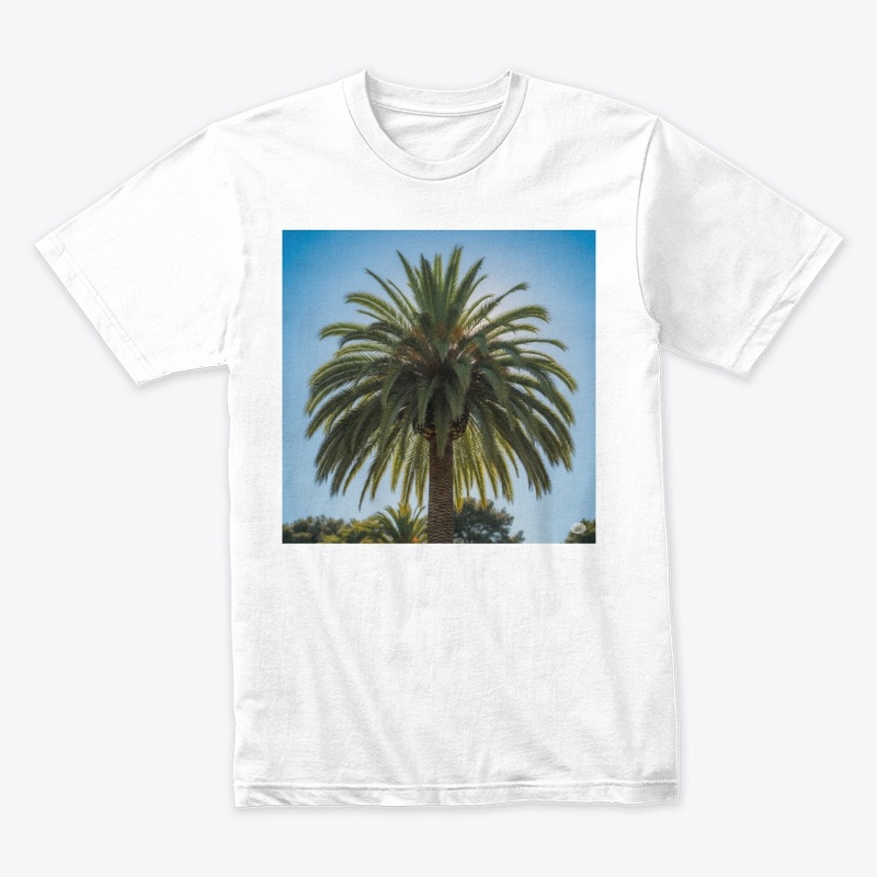 Palm tree 
