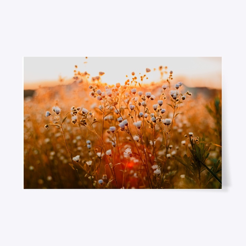 Nature Poster