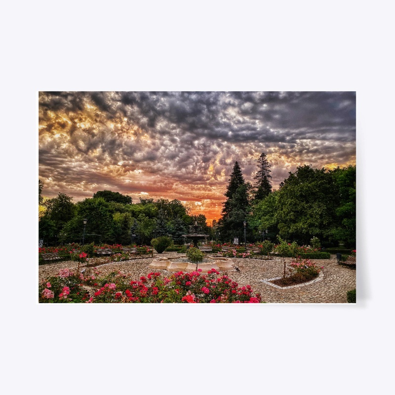 Sofia, Bulgaria-Rose Garden