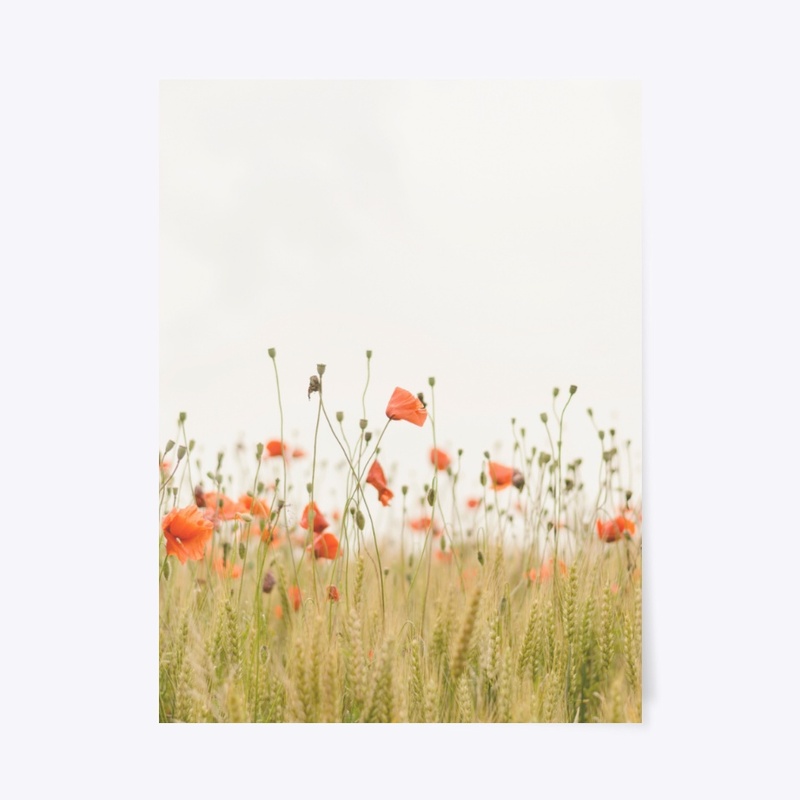 Flowers and Wheat