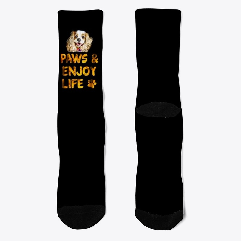 Paws and Enjoy Life CKCS