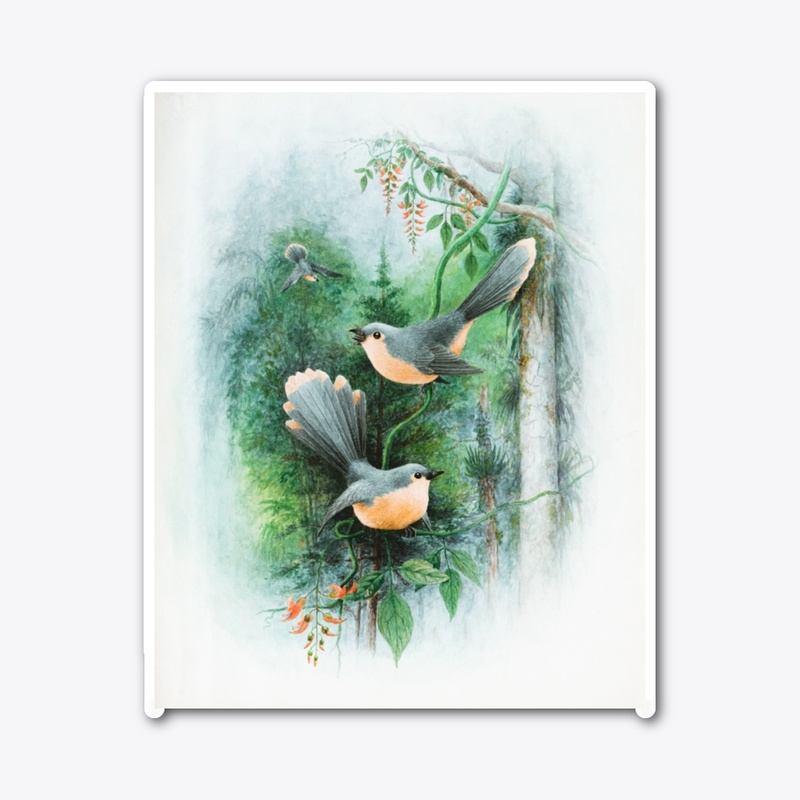 NATURE TOUCH