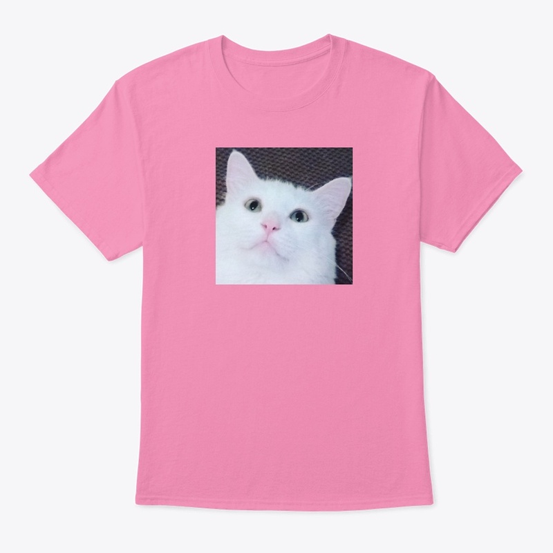 Sushi the Cat