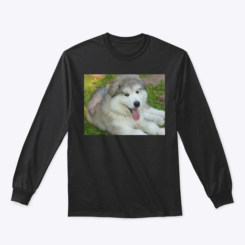 Cute Dog Uppers