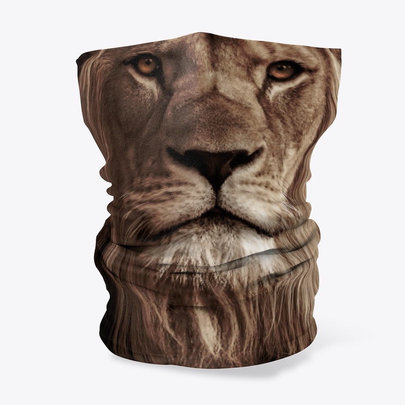 LION FACE