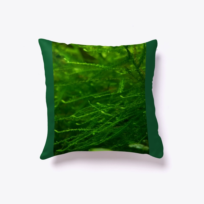 Java Moss Pillow!