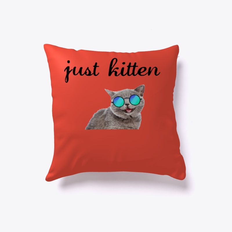 Just kitten pillow