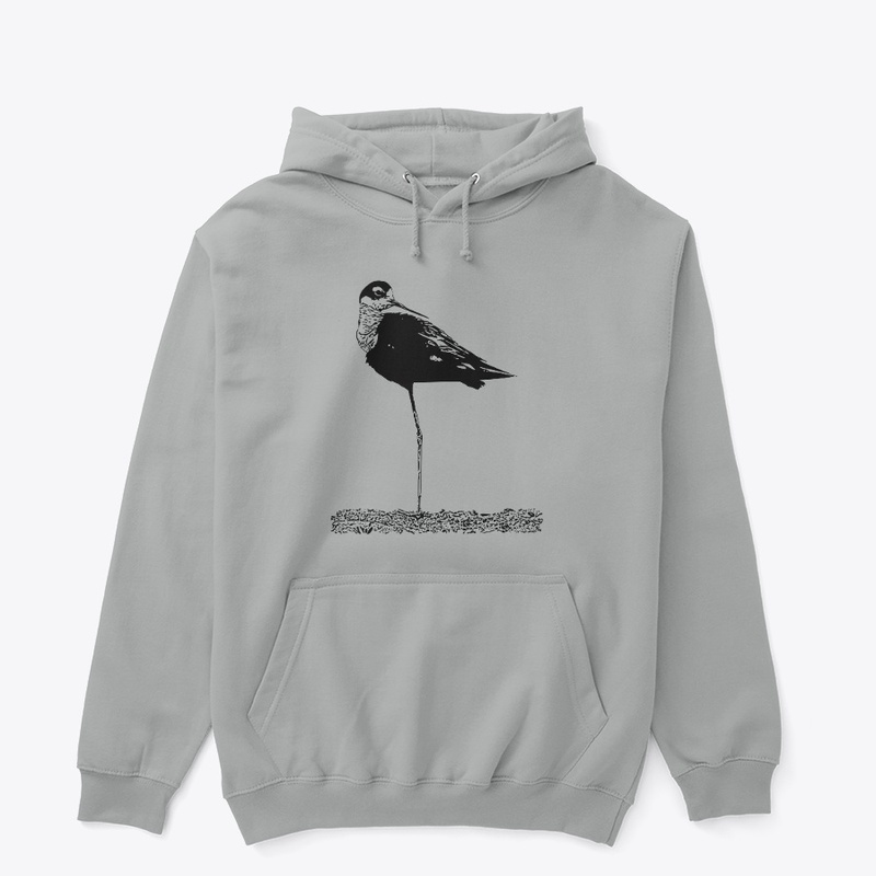 Black-necked Stilt