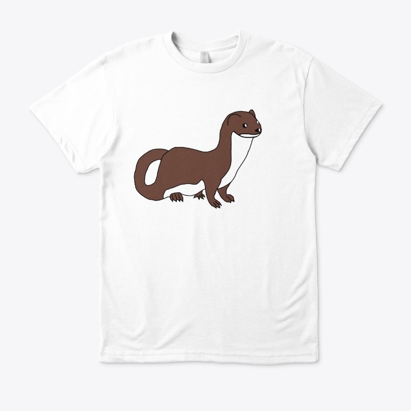 Ferret