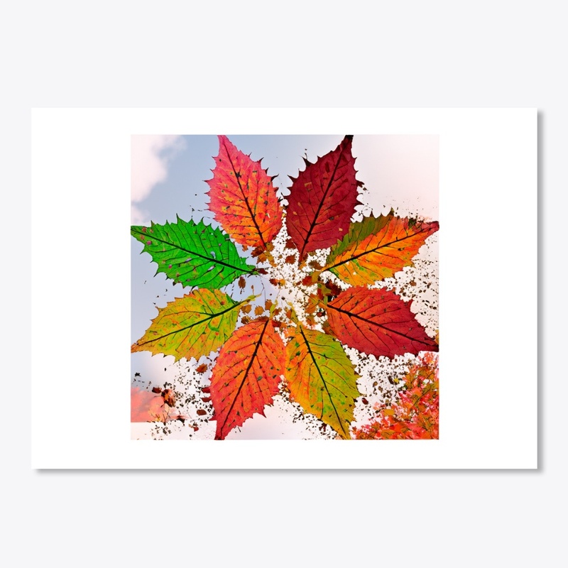 maple