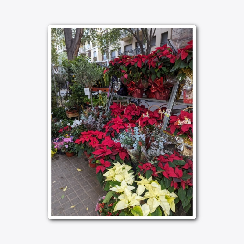 Flower wonder