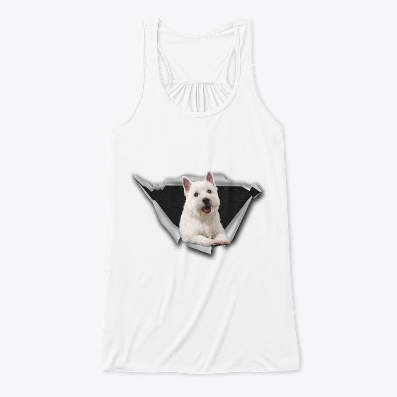 West Highland White Terrier - Torn